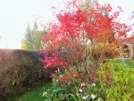 DSCF0259 (2).jpg