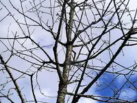 DSCI2354.webp