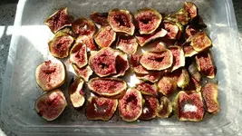 IMG_20170930_130945316.webp
