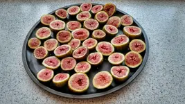 IMG_20171014_090603167_HDR.webp