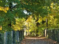 DSCF0285 (2).webp