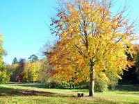 DSCF0286 (2).webp