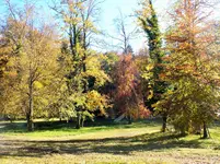 DSCF0287 (2).jpg