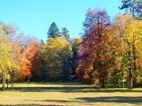 DSCF0290 (2).jpg