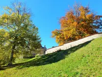 DSCF0291 (2).webp