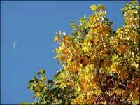 C__B048.webp