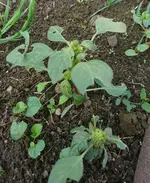 _20171014_155203.webp