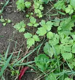 _20171014_155118.webp