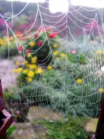 Goldener Oktober 2017.webp