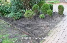 Forum Beet Lesezimmer P1080496.jpg