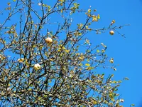 DSCF0277 (2).webp