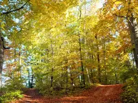 DSCF0302 (2).webp