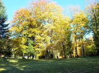 DSCF0316 (2).jpg