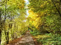 DSCF0320 (2).webp