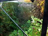 DSCF0327 (2).webp