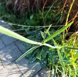 DSCF0351 (2).webp