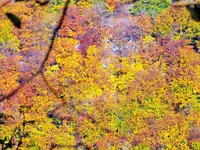 DSCF0295 (2).webp