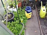 20171015_091830.webp