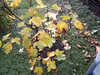 20171015_092922.webp