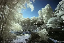 C__IR (17).webp