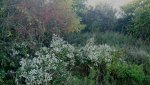 IMG_20171014_163450132.jpg