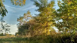 IMG_20171014_163634349_HDR.webp