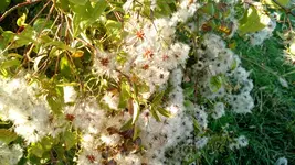 IMG_20171014_165112459.webp