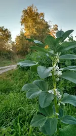 IMG_20171014_172104689_HDR.webp