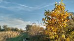 IMG_20171014_163934460_HDR.jpg
