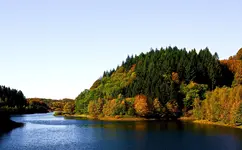 Oktober.webp