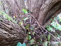 20171013_172253.webp
