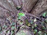 20171013_172300.jpg