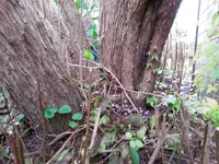 20171013_172331.webp