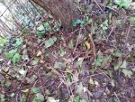 20171013_172340.jpg