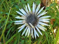 DSCF0396 (2).webp