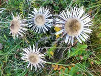 DSCF0399 (2).webp