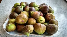 IMG_20171016_092839233_HDR.webp