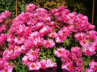BILD8464.webp
