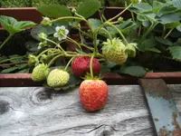 BILD8453.webp