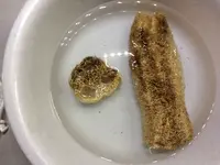 2017-10-15 Luffa nach Trockner eigeweicht.webp