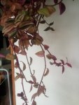 IMG_20171017_120714.jpg