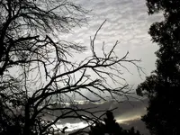 image001.webp