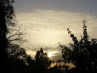 image003.webp