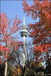 C__Fernsehturm (7).jpg