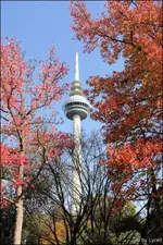 C__Fernsehturm (7).webp