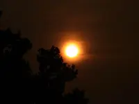 025.webp