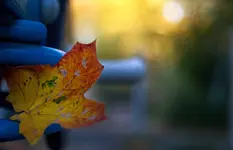 _MG_9492.webp