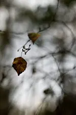 _MG_9406.webp