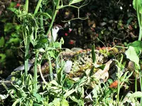 DSCF0395 (2).webp