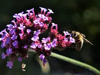 DSCF0388 (2).webp